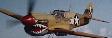 P-40 WARHAWK LINING UP
