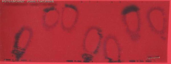 ALL KIRLIAN MATERIAL COPYRIGHTS  JOHN.T.DICKENS  aka  HEXJUMPER