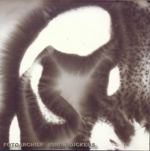 ALL KIRLIAN MATERIAL COPYRIGHTS  JOHN.T.DICKENS  aka  HEXJUMPER