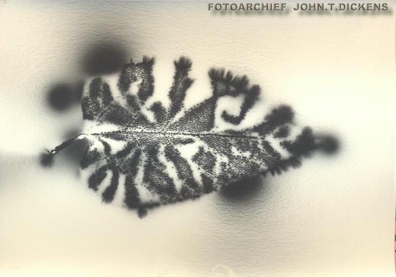 ALL KIRLIAN MATERIAL COPYRIGHTS  JOHN.T.DICKENS  aka  HEXJUMPER