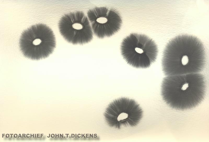 ALL KIRLIAN MATERIAL COPYRIGHTS  JOHN.T.DICKENS  aka  HEXJUMPER