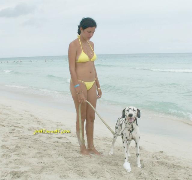 DIANA by JOHN.T.DICKENS 2006