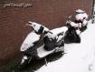 SINT NIKLAAS IN THE SNOW 2007 by JOHN.T.DICKENS