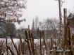 SINT NIKLAAS IN THE SNOW 2007 by JOHN.T.DICKENS