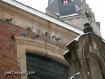 SINT NIKLAAS IN THE SNOW 2007 by JOHN.T.DICKENS