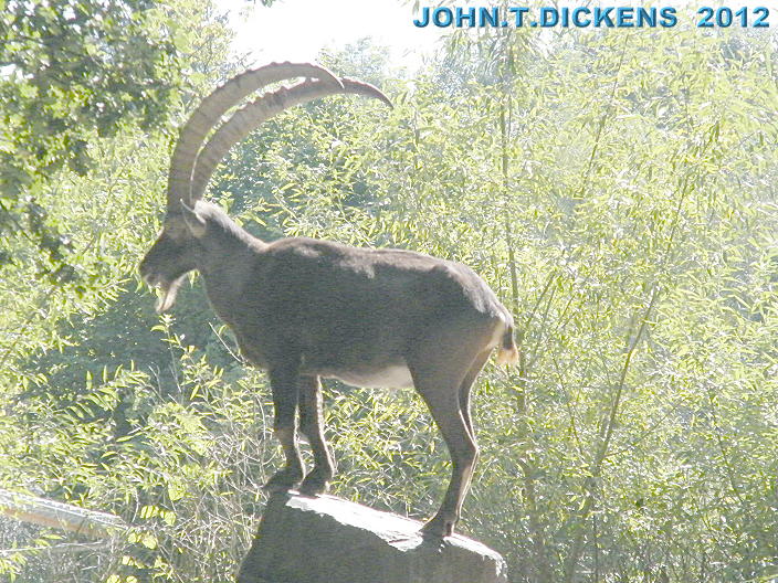 COPYRIGHT by JOHN.T.DICKENS aka HEXJUMPER