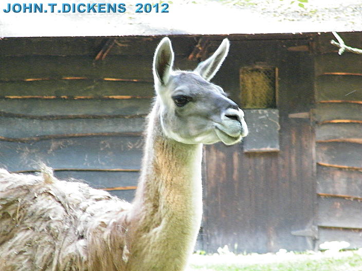 COPYRIGHT by JOHN.T.DICKENS aka HEXJUMPER